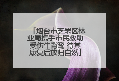 烟台市芝罘区林业局携手市民救助受伤牛背鹭 待其康复后放归自然