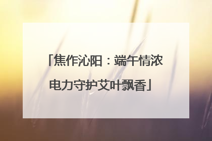 焦作沁阳：端午情浓 电力守护艾叶飘香