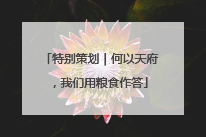 特别策划｜何以天府，我们用粮食作答