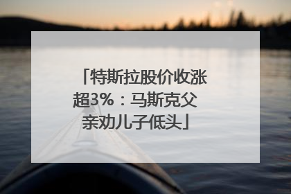 特斯拉股价收涨超3%：马斯克父亲劝儿子低头