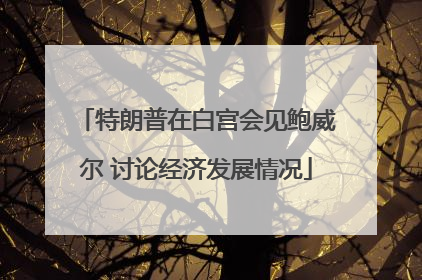 特朗普在白宫会见鲍威尔 讨论经济发展情况