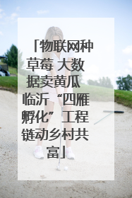 物联网种草莓 大数据卖黄瓜 临沂“四雁孵化”工程链动乡村共富
