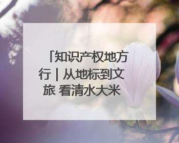 知识产权地方行｜从地标到文旅 看清水大米的破次元生长