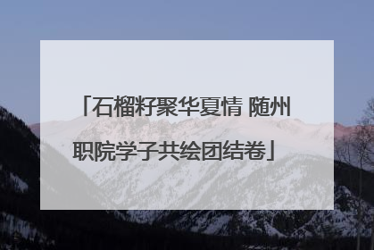 石榴籽聚华夏情 随州职院学子共绘团结卷