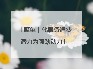 瞭望｜化服务消费潜力为强劲动力