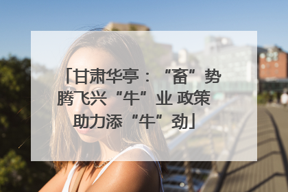 甘肃华亭：“畜”势腾飞兴“牛”业 政策助力添“牛”劲
