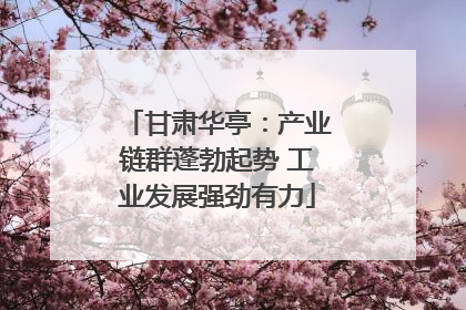 甘肃华亭：产业链群蓬勃起势 工业发展强劲有力