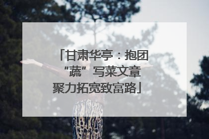 甘肃华亭：抱团“蔬”写菜文章 聚力拓宽致富路