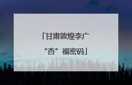 甘肃敦煌李广“杏”福密码
