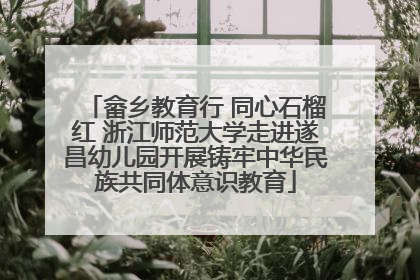 畲乡教育行 同心石榴红 浙江师范大学走进遂昌幼儿园开展铸牢中华民族共同体意识教育