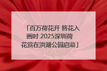 百万荷花开 簪花入画时 2025深圳荷花赏在洪湖公园启幕