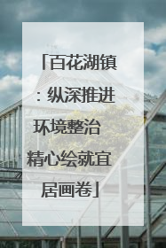 百花湖镇：纵深推进环境整治 精心绘就宜居画卷