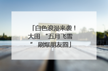 白色浪漫来袭！大田 “五月飞雪” 刷爆朋友圈