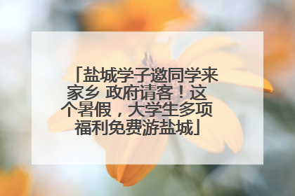 盐城学子邀同学来家乡 政府请客！这个暑假，大学生多项福利免费游盐城