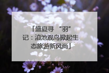 盛夏寻 “羽” 记：滇池观鸟掀起生态旅游新风尚