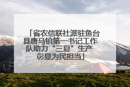 省农信联社派驻鱼台县唐马镇第一书记工作队助力“三夏”生产 彰显为民担当