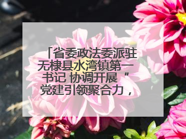 省委政法委派驻无棣县水湾镇第一书记 协调开展“党建引领聚合力，健康义诊惠乡亲”义诊活动