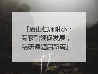 眉山仁师附小：专家引领促发展，精研课题启新篇