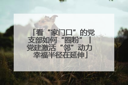 看“家门口”的党支部如何“圈粉”丨党建激活“邻”动力 幸福半径在延伸