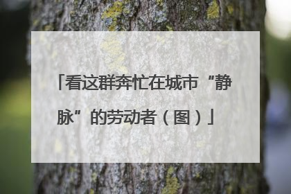 看这群奔忙在城市“静脉”的劳动者（图）