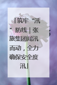 筑牢“汛”防线｜张旅集团闻汛而动，全力确保安全度汛