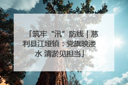 筑牢“汛”防线｜慈利县江垭镇：党旗映溇水 清淤见担当