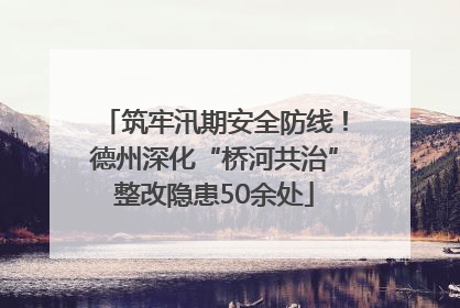筑牢汛期安全防线！德州深化“桥河共治”整改隐患50余处