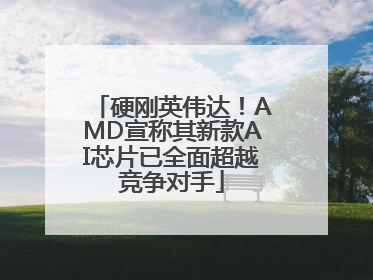 硬刚英伟达！AMD宣称其新款AI芯片已全面超越竞争对手
