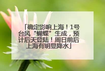 确定影响上海！1号台风“蝴蝶”生成，预计后天登陆！周日前后上海有明显降水