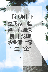 祁连山下是我家｜临泽：荒滩变良田 戈壁农业添“绿”生“金”