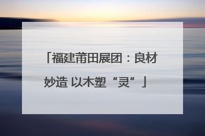 福建莆田展团：良材妙造 以木塑“灵”