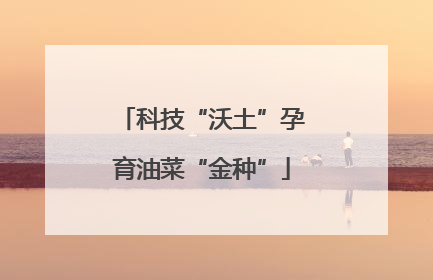 科技“沃土”孕育油菜“金种”