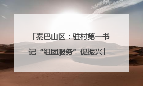 秦巴山区：驻村第一书记“组团服务”促振兴