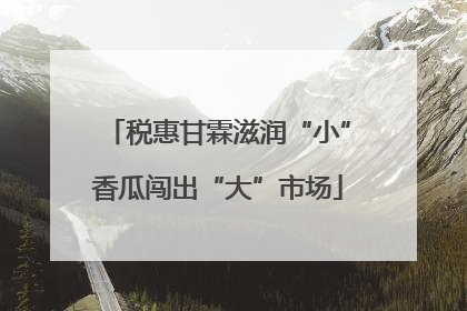 税惠甘霖滋润“小”香瓜闯出“大”市场