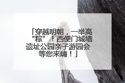 穿越明朝，一举高“粽”！西便门城墙遗址公园亲子游园会等您来嗨！
