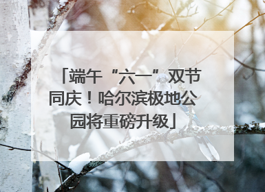 端午“六一”双节同庆！哈尔滨极地公园将重磅升级