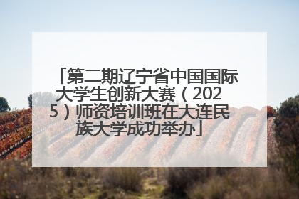 第二期辽宁省中国国际大学生创新大赛（2025）师资培训班在大连民族大学成功举办