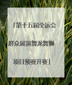 第十五届全运会群众展演舞龙舞狮项目预赛开赛