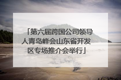 第六届跨国公司领导人青岛峰会山东省开发区专场推介会举行