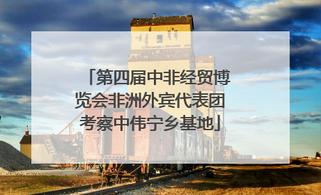 第四届中非经贸博览会非洲外宾代表团考察中伟宁乡基地