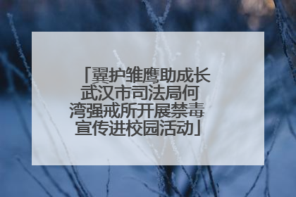 翼护雏鹰助成长 武汉市司法局何湾强戒所开展禁毒宣传进校园活动