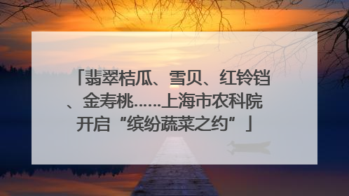 翡翠桔瓜、雪贝、红铃铛、金寿桃……上海市农科院开启“缤纷蔬菜之约”
