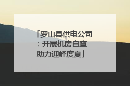罗山县供电公司：开展机房自查 助力迎峰度夏