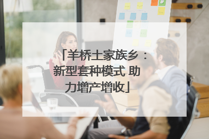 羊桥土家族乡：新型套种模式 助力增产增收