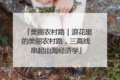 美丽农村路｜浪花里的美丽农村路，三高线串起山海经济学