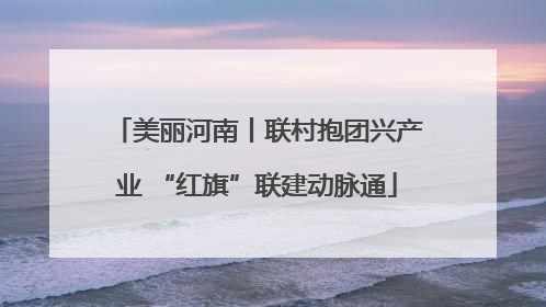 美丽河南丨联村抱团兴产业 “红旗”联建动脉通
