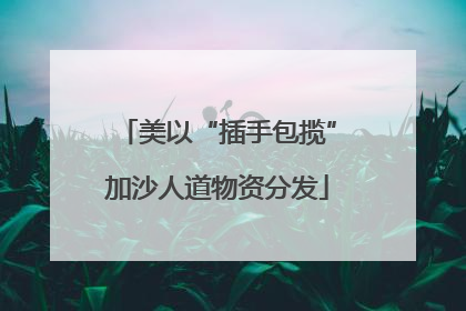 美以“插手包揽”加沙人道物资分发