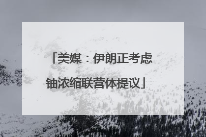 美媒：伊朗正考虑铀浓缩联营体提议