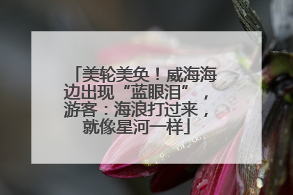 美轮美奂！威海海边出现“蓝眼泪”，游客：海浪打过来，就像星河一样