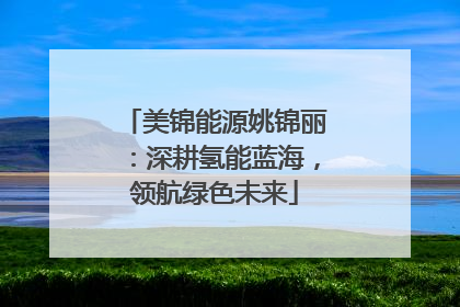 美锦能源姚锦丽：深耕氢能蓝海，领航绿色未来